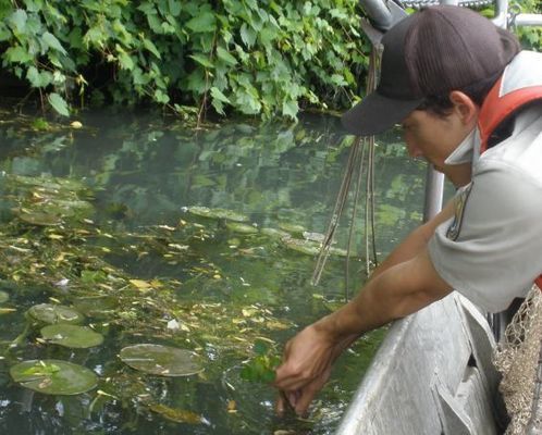 觀賞魚水質(zhì)監(jiān)測(cè)工具推薦：觀賞魚水質(zhì)監(jiān)測(cè)的重要性與實(shí)用工具