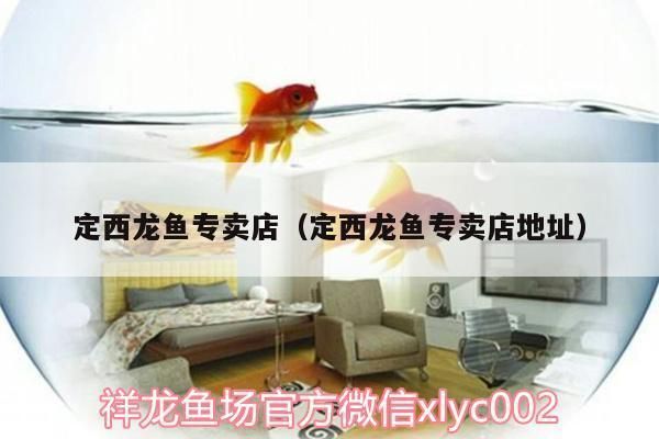 定西觀賞魚批發(fā)市場(chǎng)：定西觀賞魚市場(chǎng)