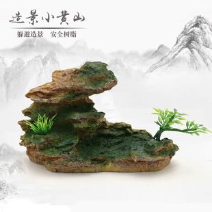 黃山魚缸批發(fā)市場：黃山水族批發(fā)市場 全國觀賞魚市場 第6張