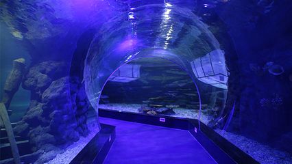 水族館建設施工：水族館建設施工安全管理措施