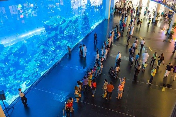 水族館主題餐廳：全球水族館主題餐廳排名