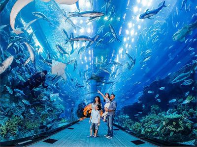 水族館行業(yè)會有發(fā)展?jié)摿釣槭裁矗核屦^行業(yè)發(fā)展前景