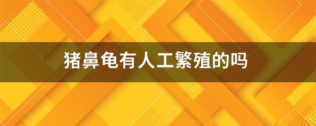 人工飼養(yǎng)豬鼻龜怎么繁殖：人工繁殖豬鼻龜繁殖視頻(豬鼻龜怎么繁殖 豬鼻龜百科 第8張