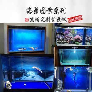 燕魚魚缸背景紙圖片：燕魚魚缸背景紙價(jià)格對比魚缸背景紙價(jià)格對比 魚缸百科 第2張