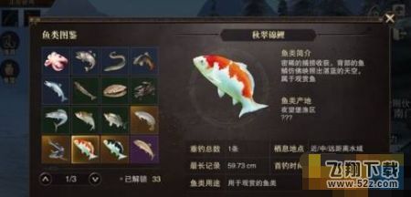 觀賞魚(yú)飼料網(wǎng)購(gòu)注意事項(xiàng)：網(wǎng)購(gòu)觀賞魚(yú)飼料的注意事項(xiàng)