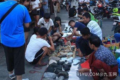 忻州水族批發(fā)市場：忻州水族批發(fā)市場在哪 全國觀賞魚市場 第3張