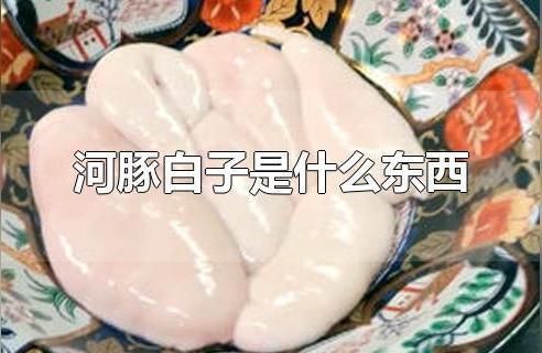 海龍魚吃什么長大的：海龍魚在食物鏈中處于什么位置？ 水族問答 第1張