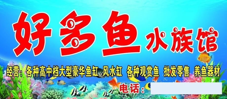 水族館門頭設(shè)計(jì)圖：水族館門頭設(shè)計(jì) 水族館百科（水族館加盟） 第1張