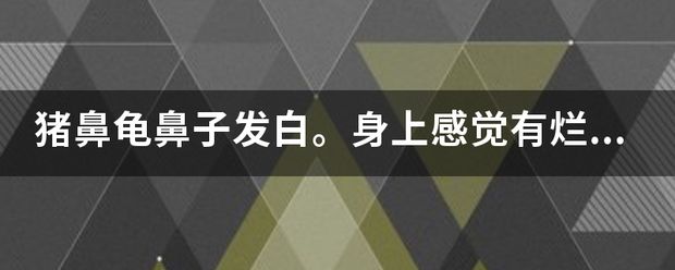 豬鼻龜身上發(fā)白怎么辦?。贺i鼻龜鼻子白了是怎么回事 豬鼻龜百科 第3張