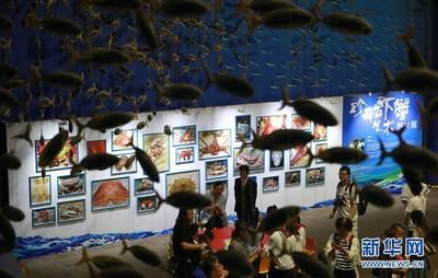 水族館屬于什么分類：極地海洋世界特色展覽,水族館科研項目案例分析 水族館百科（水族館加盟） 第5張