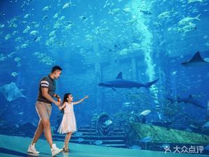 亞特蘭蒂斯水族館游記：三亞亞特蘭蒂斯水族館是一處集海洋生物展示與一體的旅游景點(diǎn)