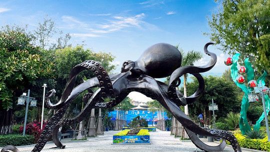 廈門水族館：廈門海底世界旅游攻略