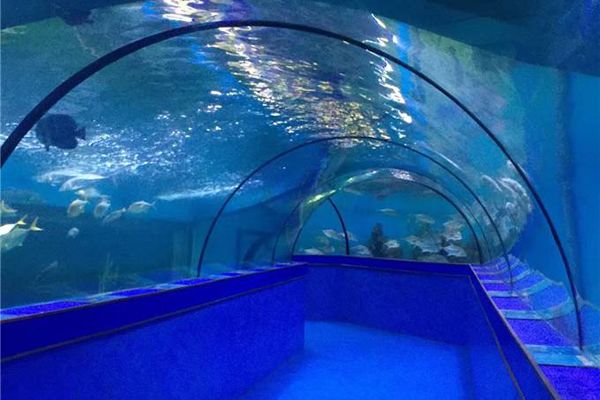 水族館 知乎：全球第一座水族館于北京海洋魚類及生物達千余種、數(shù)萬尾 水族館百科（水族館加盟） 第2張