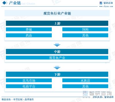 觀賞魚飼料添加劑選擇指南：觀賞魚飼料添加劑效果對比觀賞魚飼料添加劑選擇指南 觀賞魚百科 第4張