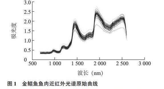 金龍魚食物新鮮度判斷技巧：如何挑選活體金龍魚 金龍魚百科 第3張