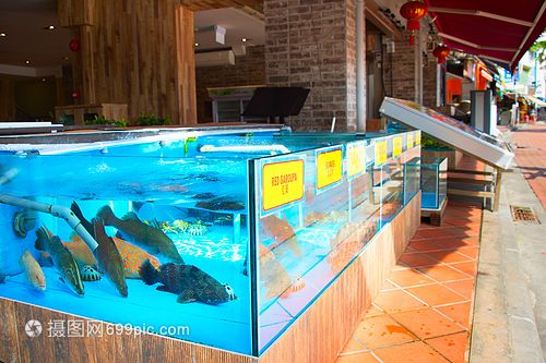 水族館店鋪照片高清：水族館店鋪高清照片 水族館百科（水族館加盟） 第4張