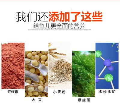 如何選擇合適的觀賞魚飼料：如何選擇觀賞魚飼料 觀賞魚百科 第2張