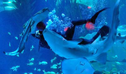 青島水族館門票價(jià)格：青島水族館特色展覽介紹青島水族館門票價(jià)格詳細(xì)信息 水族館百科（水族館加盟） 第3張