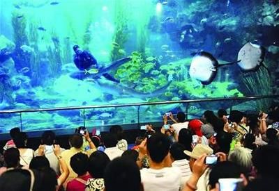 青島水族館門票價(jià)格：青島水族館特色展覽介紹青島水族館門票價(jià)格詳細(xì)信息 水族館百科（水族館加盟） 第5張