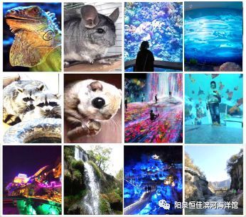 陽泉水族館：陽泉市城區(qū)愛上魚水族館