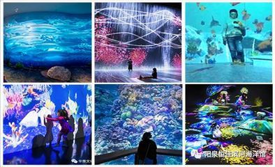 陽泉水族館：陽泉市城區(qū)愛上魚水族館