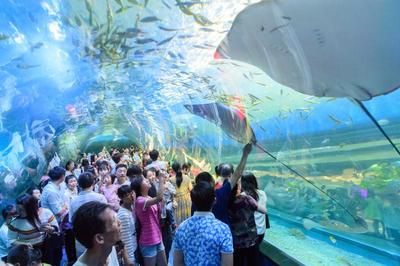 益陽水族館：益陽市朝陽濱輝水族館