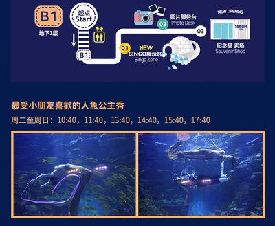 水族館主要經(jīng)營什么產(chǎn)品：水族館主要經(jīng)營產(chǎn)品 水族館百科（水族館加盟） 第4張