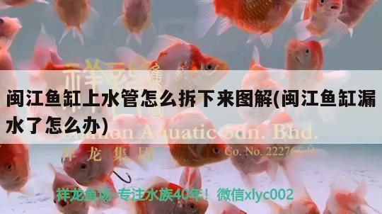 閩江魚缸拆卸圖：閩江魚缸上水管拆卸圖詳情 魚缸百科 第2張