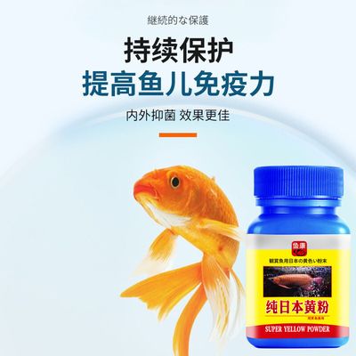 觀賞魚專用藥品牌排行：2024年觀賞魚專用藥品牌排行