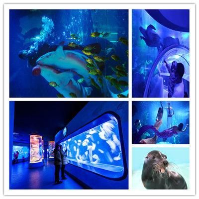 水族館好玩嗎值得去嗎：上海水族館親子游最佳季節(jié)選擇達(dá)拉斯水族館親子游體驗(yàn) 水族館百科（水族館加盟） 第3張