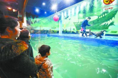 婁底水族館：婁底南海觀賞魚水族館 全國觀賞魚市場 第1張