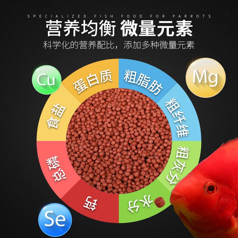 觀賞魚飼料脂肪控制技巧：關(guān)于觀賞魚飼料脂肪控制的一些技巧 觀賞魚百科 第2張