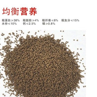 觀賞魚飼料脂肪控制技巧：關(guān)于觀賞魚飼料脂肪控制的一些技巧 觀賞魚百科 第4張