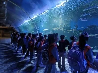 灞橋區(qū)水族館：灞橋區(qū)觀賞魚批發(fā)市場