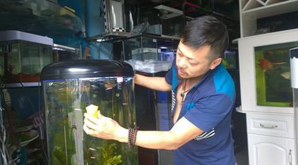 水族館老板：水族館老板的職業(yè)技能 水族館百科（水族館加盟） 第5張