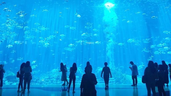 水族館長什么樣：國內(nèi)外著名水族館的外觀、布局、管理運(yùn)營等方面的特點(diǎn) 水族館百科（水族館加盟） 第1張