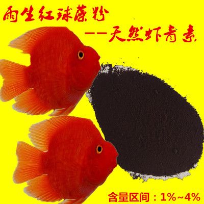 雨生紅球藻對其他觀賞魚的作用：雨生紅球藻與其他色素飼料對比雨生紅球藻對魚健康具體益處 觀賞魚百科 第3張