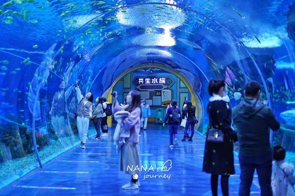 水族館哪個地方的好玩：全球著名的水族館 水族館百科（水族館加盟） 第1張