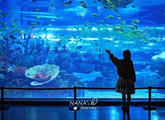 水族館哪個地方的好玩：全球著名的水族館 水族館百科（水族館加盟） 第3張