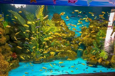 韶關(guān)水族館：韶關(guān)有水族館嗎