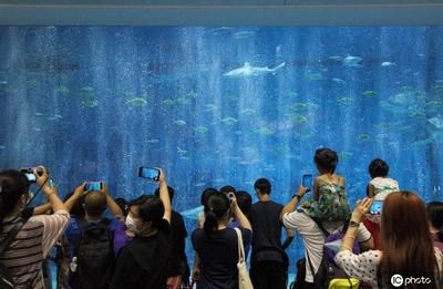 水族館開館時間是幾點：上海水族館開放時間 水族館百科（水族館加盟） 第5張