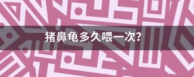 豬鼻龜多久會(huì)餓死：豬鼻龜換地方不吃食能餓死嗎 豬鼻龜百科 第5張