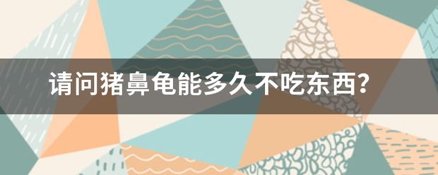 豬鼻龜多久會(huì)餓死：豬鼻龜換地方不吃食能餓死嗎 豬鼻龜百科 第6張