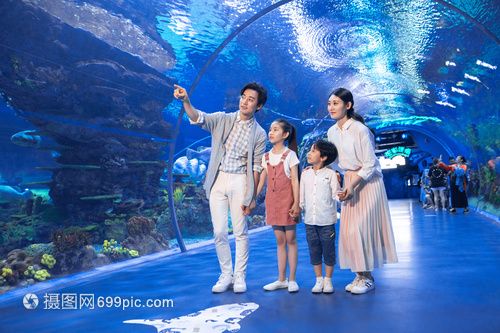 水族館場景：水族館場景素材的獲取途徑， 水族館百科（水族館加盟） 第5張