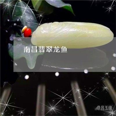 南昌龍魚(yú)專賣店：南昌賣魚(yú)缸的地方有哪些 全國(guó)觀賞魚(yú)市場(chǎng) 第2張