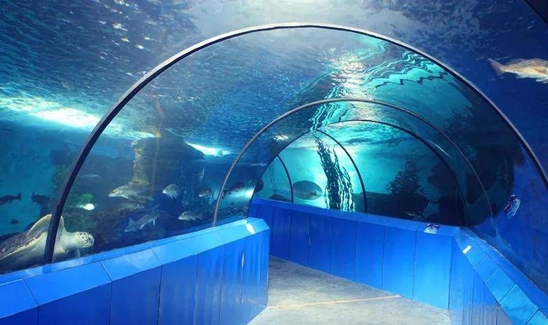 洛陽(yáng)水族館：洛陽(yáng)旅游攻略洛陽(yáng)龍門(mén)海洋館