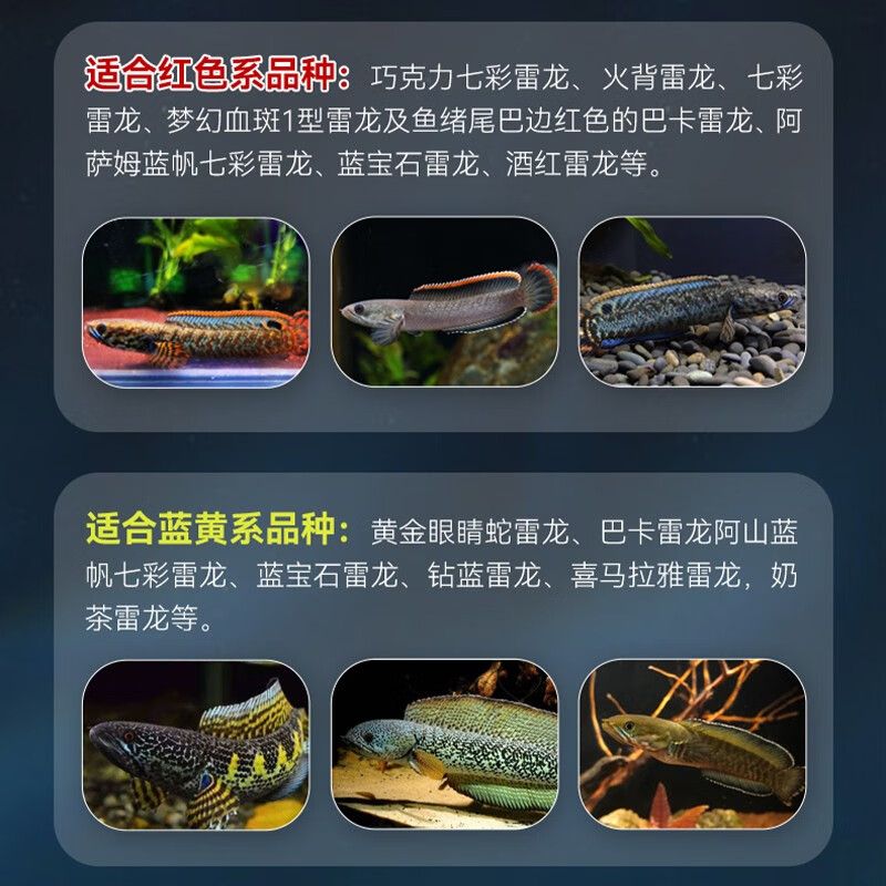 雷龍魚繁殖期飼料選擇指南：雷龍魚繁殖期飼料品牌對比 龍魚百科 第2張