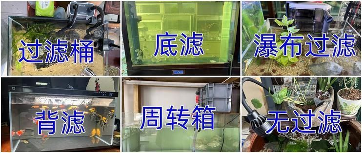 大魚缸過濾棉：關(guān)于大魚缸過濾棉的詳細(xì)信息 魚缸百科 第3張