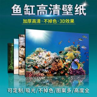 漾夢(mèng)江魚缸背景貼紙：漾夢(mèng)江魚缸背景貼紙使用方法 魚缸百科 第3張