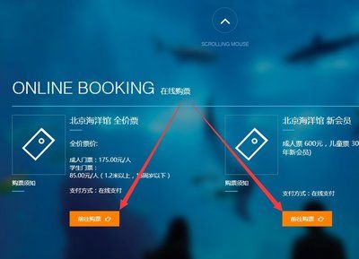 水族館訂票：上海海洋水族館年票適用于身高1.0-1.4米的兒童票 水族館百科（水族館加盟） 第5張